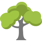 Madison Trees Removal